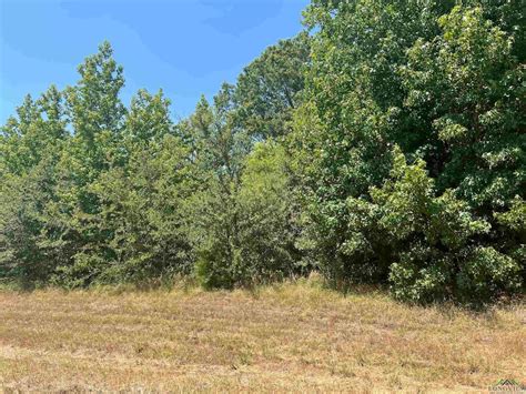 TBD Fm 3042, Pittsburg, TX 75686 [Lot/Land] | Homes.com