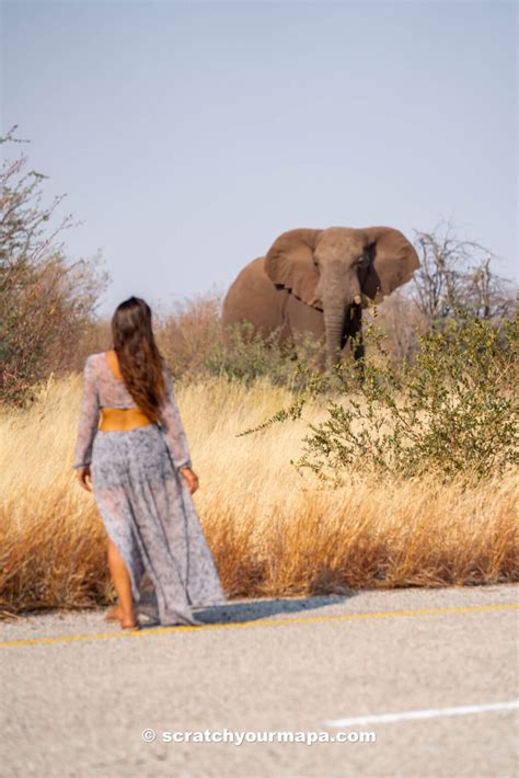 Visiting Botswana for the First Time: Everything You Need to Know ...