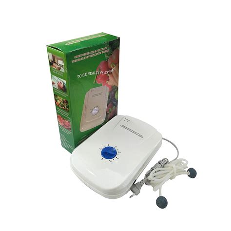 RUCHI WORLD Ozonizer Fruit And Vegetable Cleaner Purifier Machine ...