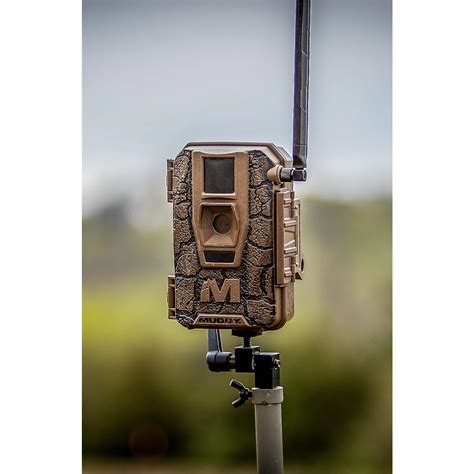 Muddy Mitigator 2.0 3-Pack Trail Cameras | Academy