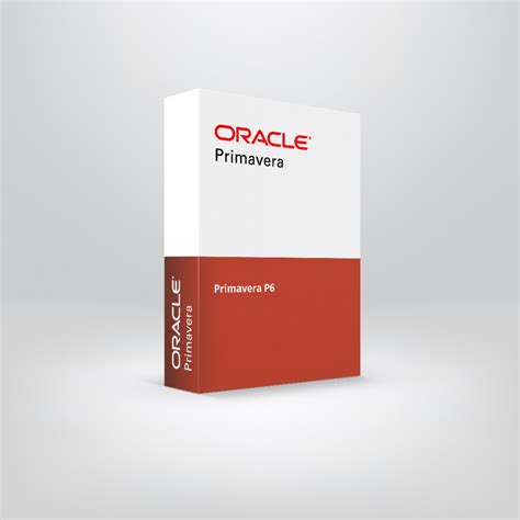 Image result for Oracle Primavera P6 Opening Window