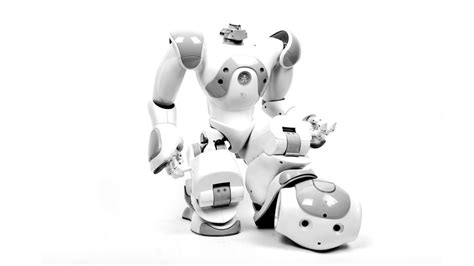 Programable Robot Examples 的图像结果