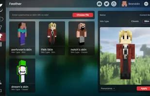 Image result for Feather Client Modpack PvP