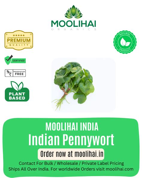 Indian Pennywort / Deva Centella asiatica / Gotu Kola /Vallarai ...