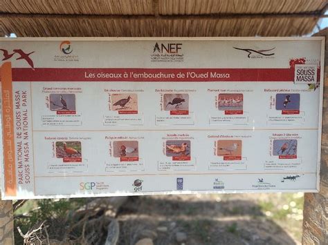 CAMPING WASSAY BEACH (Sidi Binzarne) - Campground Reviews, Photos, Rate ...