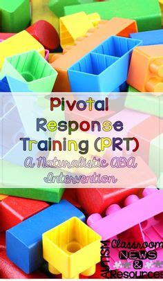 Pivotal Response Training Example 的图像结果
