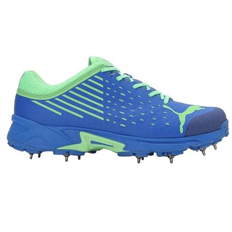 Puma Spike 22.1 Unisex Cricket Shoes (Blue) – Sportswing.in