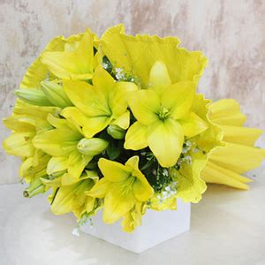 Lilies Flowers Online | Buy Lily Flowers Online in India - GiftaLove
