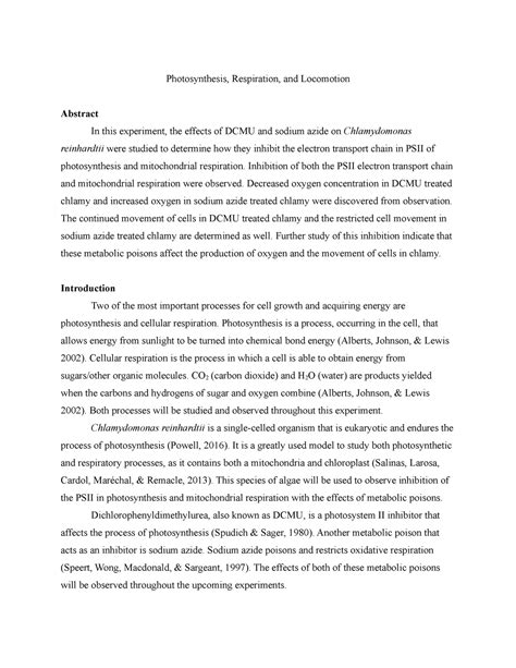 Lab Report Abstract Examples 的图像结果