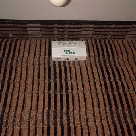 THE RIDGE MOTOR INN (Portage) - Hotel Reviews, Photos, Rate Comparison ...