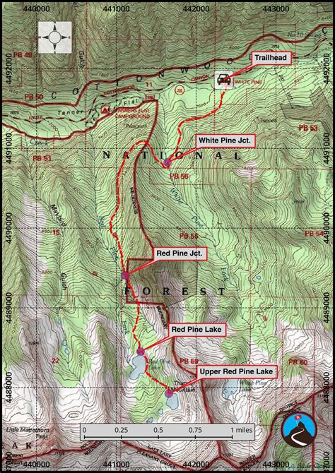 Hiking Red Pine Lake - Little Cottonwood Canyon | Road Trip Ryan
