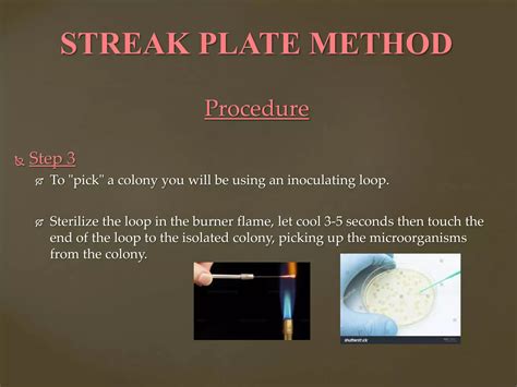 The Streak plate method, | PPTX