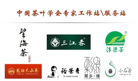 2023年新茶茶雨前特级黄金芽茶250克罐装玉蕊高山散装安吉茶叶_虎窝淘