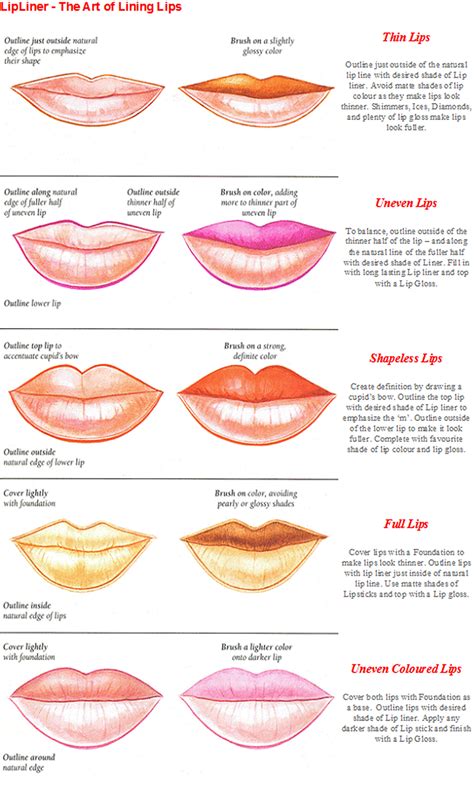 Different Types Of Mouth Shapes