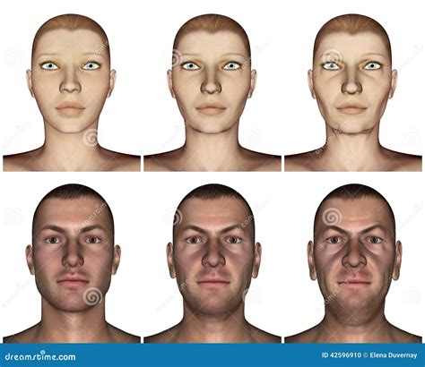 Aging Process Cartoon 的图像结果