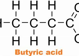 Image result for Fatty Acid General Structure