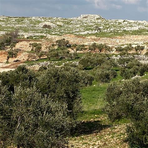 Mount Eival (Nablus) - All You Need to Know BEFORE You Go