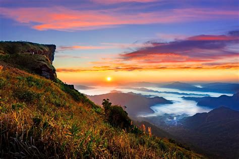 Image result for How to View MLO in Codewalker