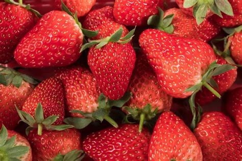 草莓，到底是什么季节的水果啊？__财经头条