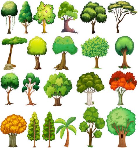 Tree Drawing Shading 的图像结果