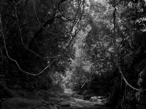 That Works Media India – eLearning & Advertisement Agency