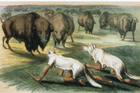 Discover Native American Beaver Hunting and Trapping Secrets
