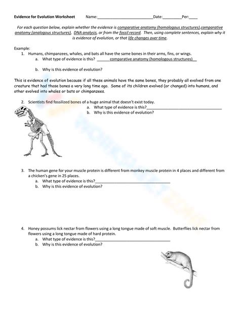 Evidence for Evolution Worksheet 的图像结果