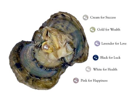 Oyster Pearl Removal at Catherine Grant blog