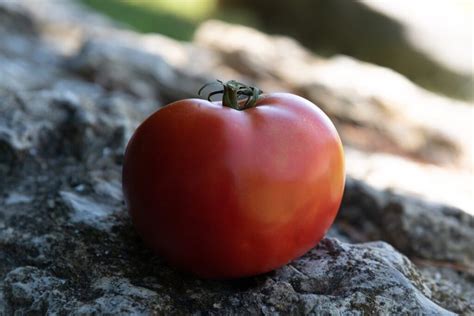 Camera ISO Explained 的图像结果