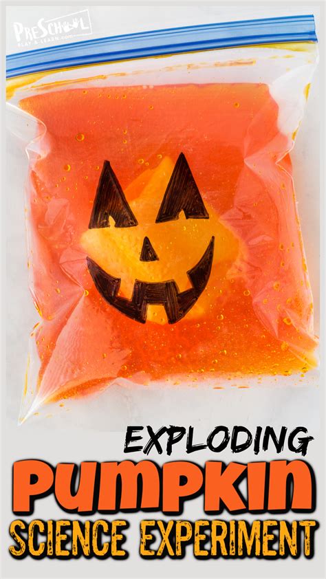Image result for Exploding Pumpkin Experiment