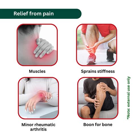 Gurudev Puthur Power Siranjeevi Thailam | Ligament Nerve Bone & Joint ...