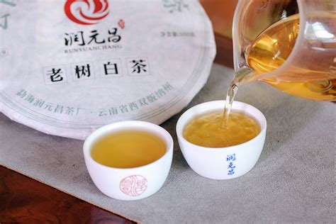精品正宗白茶店铺直营 - 茶店网chadian.com--买好茶,卖好茶，就上手机茶店App