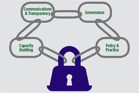 Data Quality Collection 的图像结果