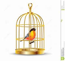 gabbia uccello gabbia di uccello illustrazioni vettoriali e clipart gabbia uccello gabbia di uccello illustrazioni vettoriali e clipart