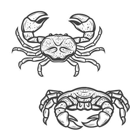 Seafood crab, marine crustacean lobster | Premium Vector