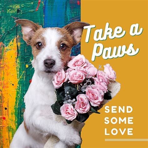 Home | Bayport Flower Bayport Flower