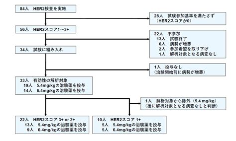 Image result for Server License Key On Paper Example