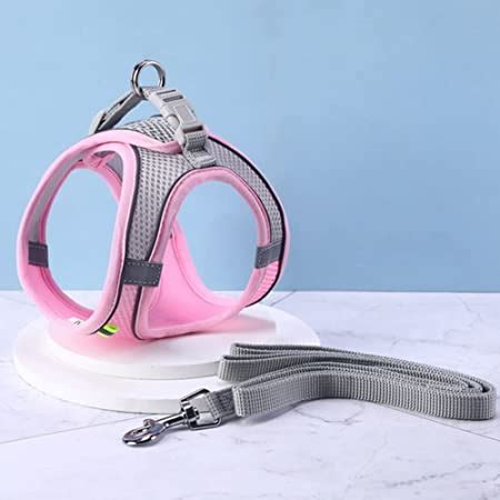 PetsUp Weighted Dog Harness for Puppy Dogs (33" - 43"Cm Girth), Color ...