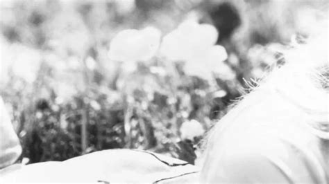 Rock the Rind 2025 in Brownstown, Heritage Park, Brownstown, 31 July to ...