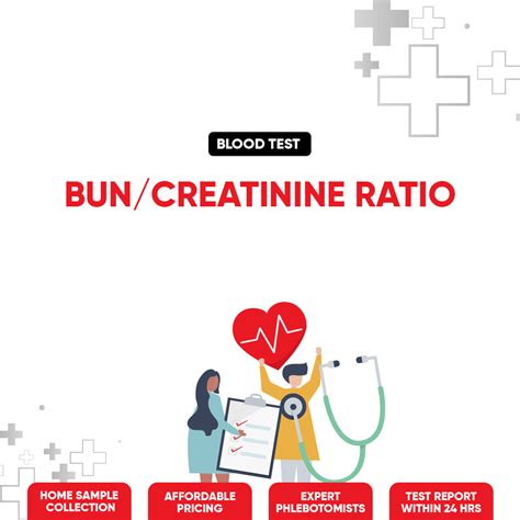 BUN / Creatinine Ratio Test – Find My Doctor