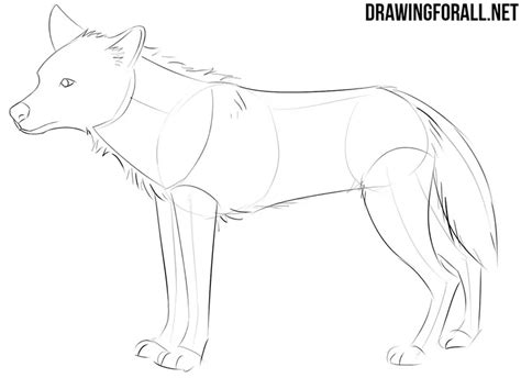 Image result for How to Draw Wolves