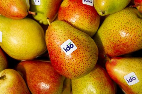 水果品牌设计案例_玉米人-站酷ZCOOL