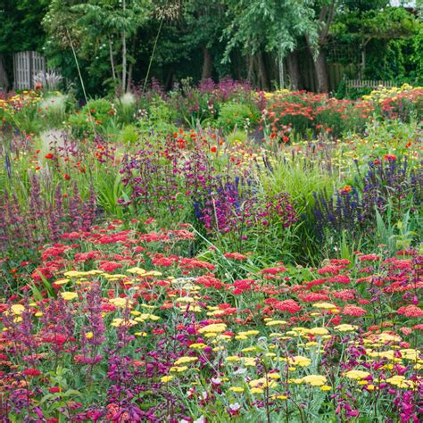 Cottage Garden Perennials 的图像结果