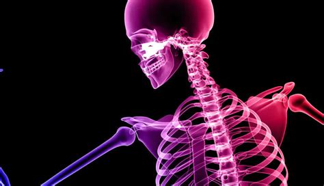 5 Health Benefits of Eating Mushrooms - lifeberrys.com