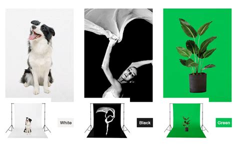 VTS Backdrop Stand Setup Photo Studio Green Backdrop Chroma Key Screen ...