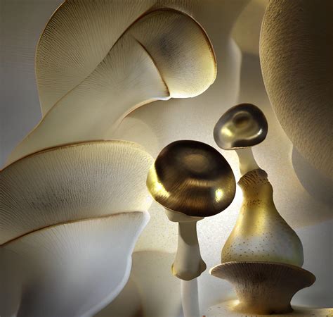 GOLDEN SHROOMS, by me, digital, 2022 : r/conceptart