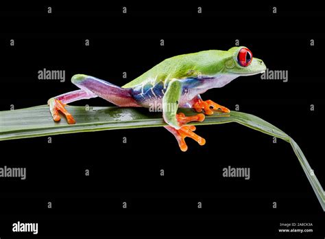 Image result for New Line JavaScript