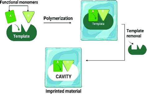 Mar MIP Tutorial 的图像结果