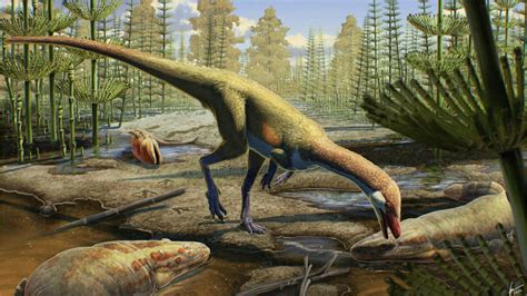 North America's Earliest Dinosaur Is A 230-Million-Year-Old Chicken-Sized Wyomingite | Cowboy ...