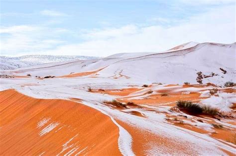 Snowfall In Sahara Desert- Climate Change Or A Miracle?